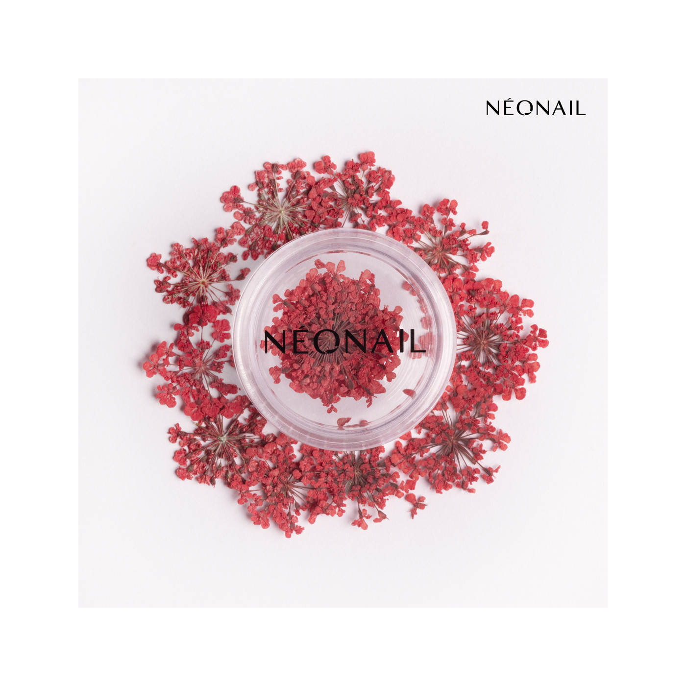 Květinová Dekorace 08| 11089 Květinová Dekorace 08| 11089